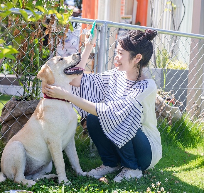 犬と触れ合うスタッフ