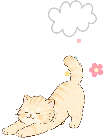 初めての方へ