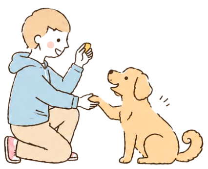 しつけ・トレーニング